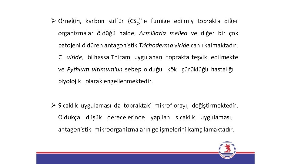 Ø Örneğin, karbon sülfür (CS 2)'le fumige edilmiş toprakta diğer organizmalar öldüğü halde, Armillaria