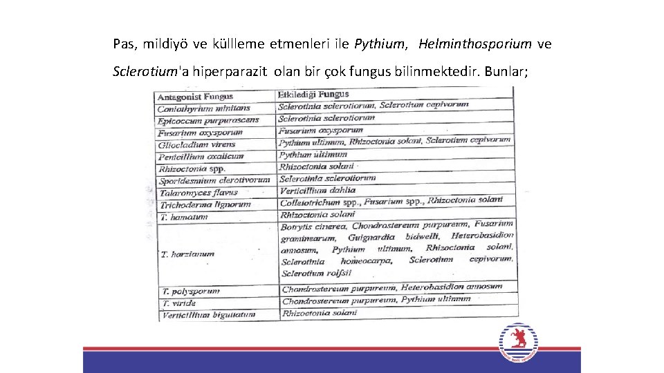 Pas, mildiyö ve küllleme etmenleri ile Pythium, Helminthosporium ve Sclerotium'a hiperparazit olan bir çok