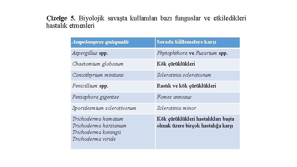 Çizelge 5. Biyolojik savaşta kullanılan bazı funguslar ve etkiledikleri hastalık etmenleri Ampelomyces quisqualis Serada