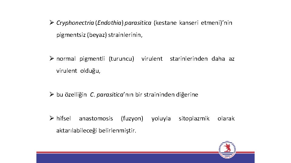 Ø Cryphonectria (Endothia) parasitica (kestane kanseri etmeni)’nin pigmentsiz (beyaz) strainlerinin, Ø normal pigmentli (turuncu)