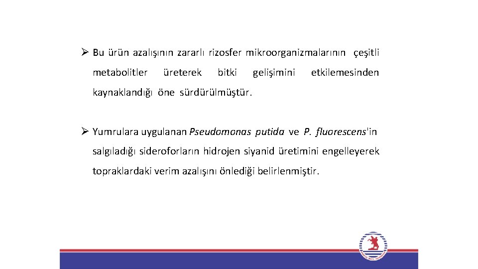 Ø Bu ürün azalışının zararlı rizosfer mikroorganizmalarının çeşitli metabolitler üreterek bitki gelişimini etkilemesinden kaynaklandığı