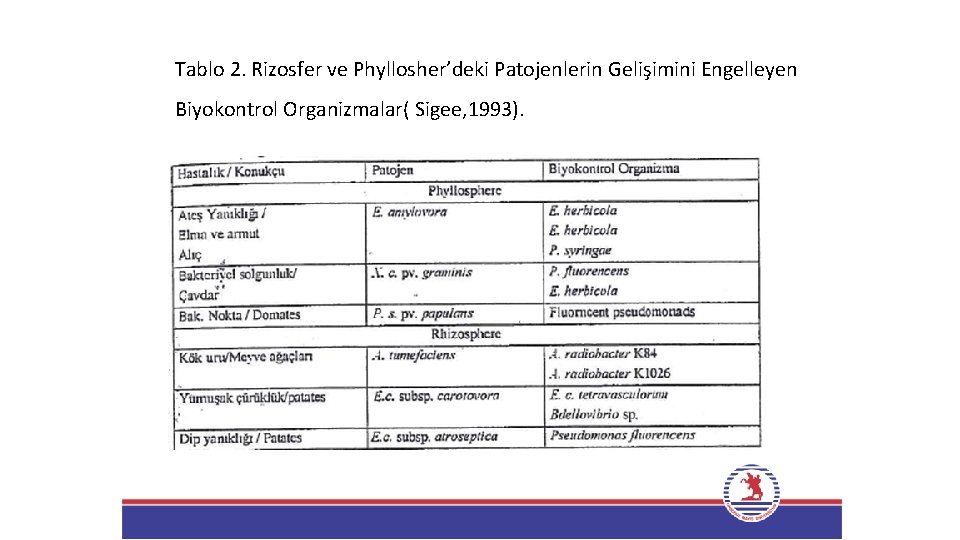 Tablo 2. Rizosfer ve Phyllosher’deki Patojenlerin Gelişimini Engelleyen Biyokontrol Organizmalar( Sigee, 1993). 