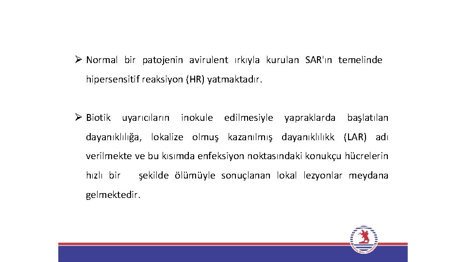 Ø Normal bir patojenin avirulent ırkıyla kurulan SAR'ın temelinde hipersensitif reaksiyon (HR) yatmaktadır. Ø