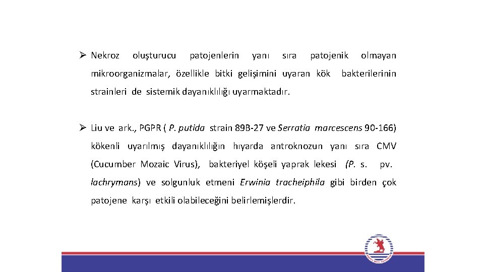 Ø Nekroz oluşturucu patojenlerin yanı sıra patojenik olmayan mikroorganizmalar, özellikle bitki gelişimini uyaran kök