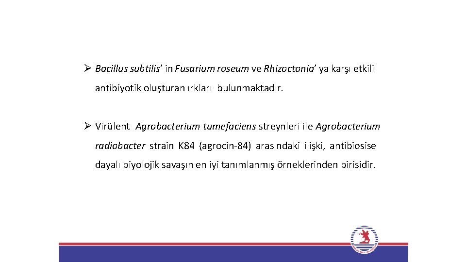 Ø Bacillus subtilis’ in Fusarium roseum ve Rhizoctonia’ ya karşı etkili antibiyotik oluşturan ırkları