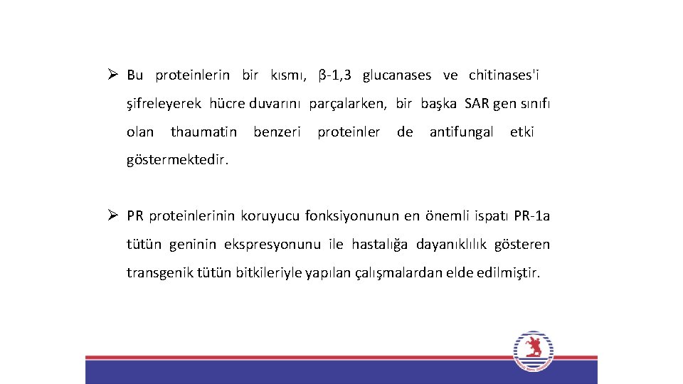 Ø Bu proteinlerin bir kısmı, β-1, 3 glucanases ve chitinases'i şifreleyerek hücre duvarını parçalarken,