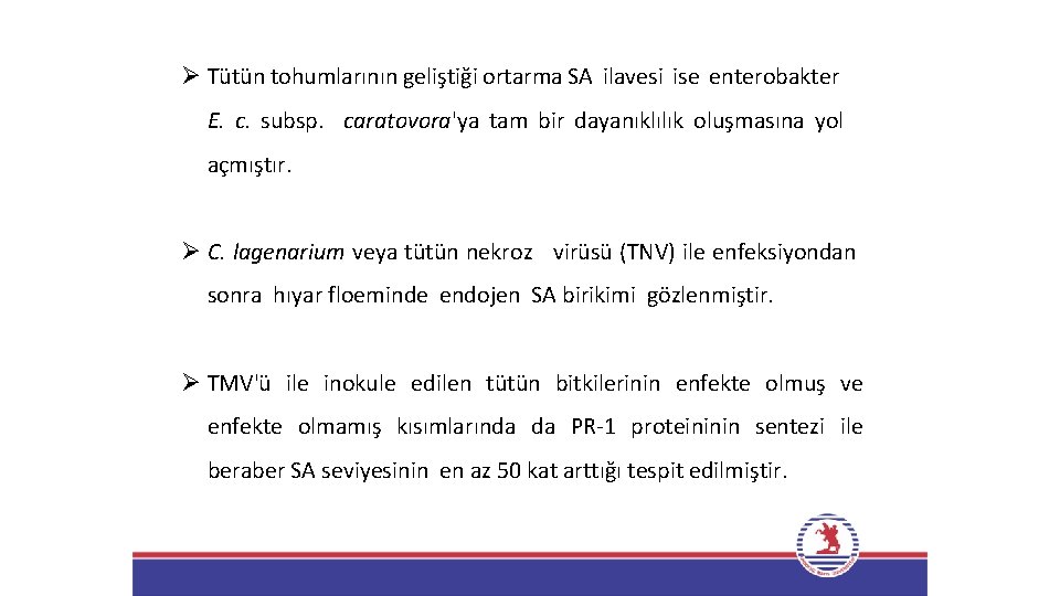 Ø Tütün tohumlarının geliştiği ortarma SA ilavesi ise enterobakter E. c. subsp. caratovora'ya tam