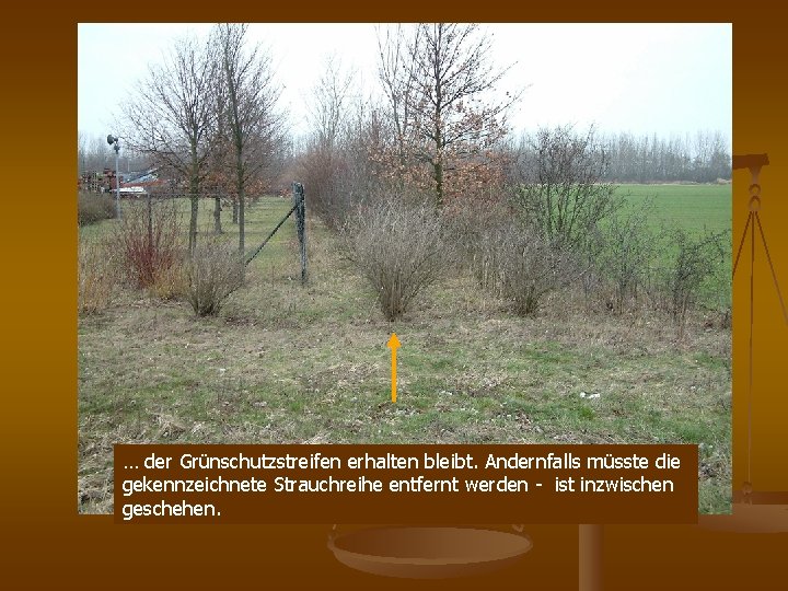… der Grünschutzstreifen erhalten bleibt. Andernfalls müsste die gekennzeichnete Strauchreihe entfernt werden - ist