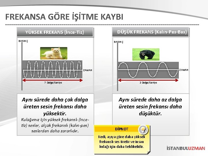 FREKANSA GÖRE İŞİTME KAYBI YÜKSEK FREKANS (İnce-Tiz) BASINÇ DÜŞÜK FREKANS (Kalın-Pes-Bas) BASINÇ ZAMAN 2