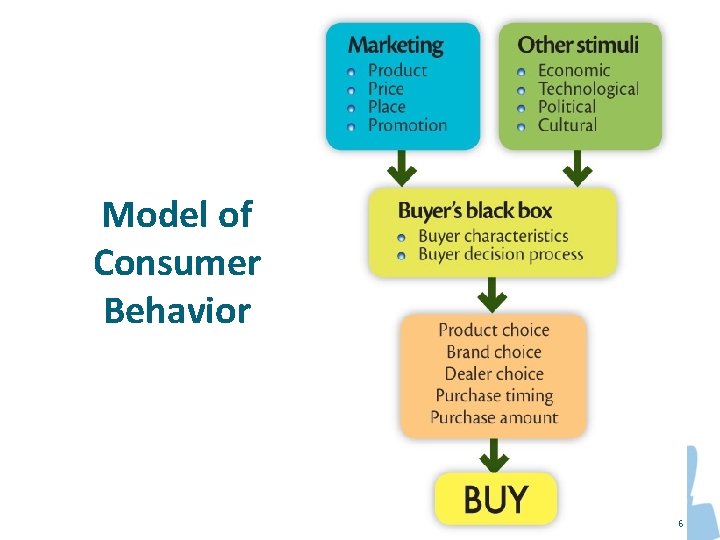 Model of Consumer Behavior 6 