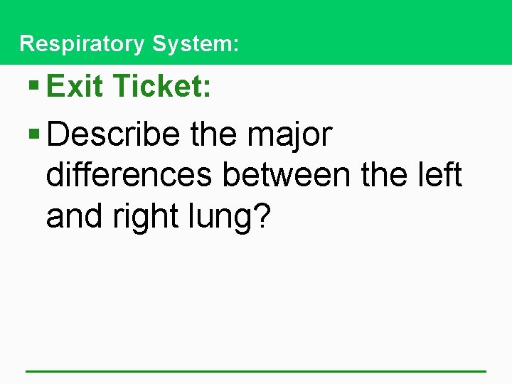 Respiratory System: § Exit Ticket: § Describe the major differences between the left and