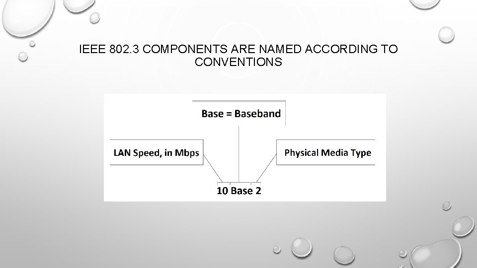 IEEE 802. 3 COMPONENTS ARE NAMED ACCORDING TO CONVENTIONS 