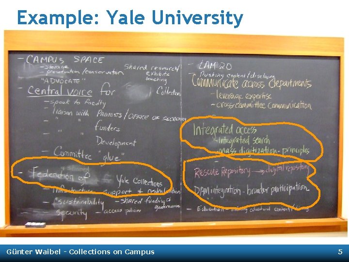 Example: Yale University Günter Waibel - Collections on Campus 5 