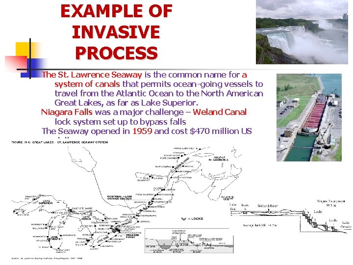 EXAMPLE OF INVASIVE PROCESS The St. Lawrence Seaway is the common name for a