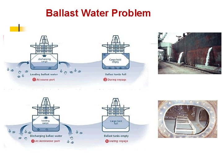 Ballast Water Problem 