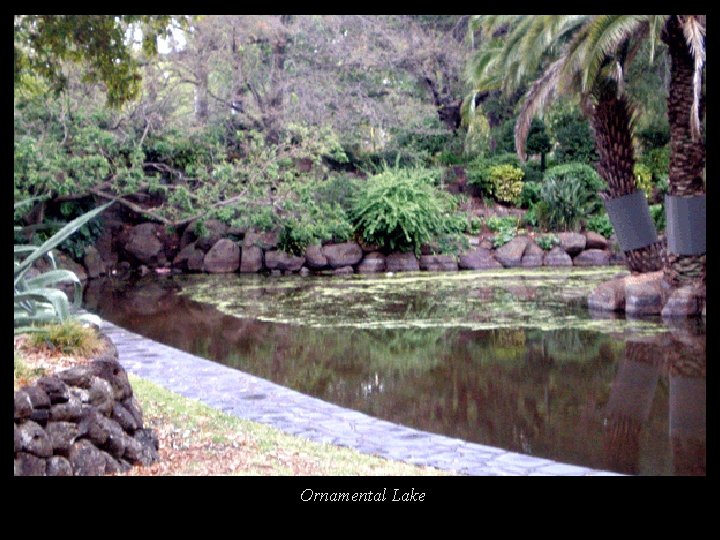 Ornamental Lake 