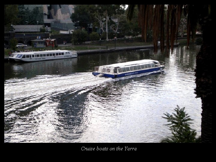 Cruise boats on the Yarra 