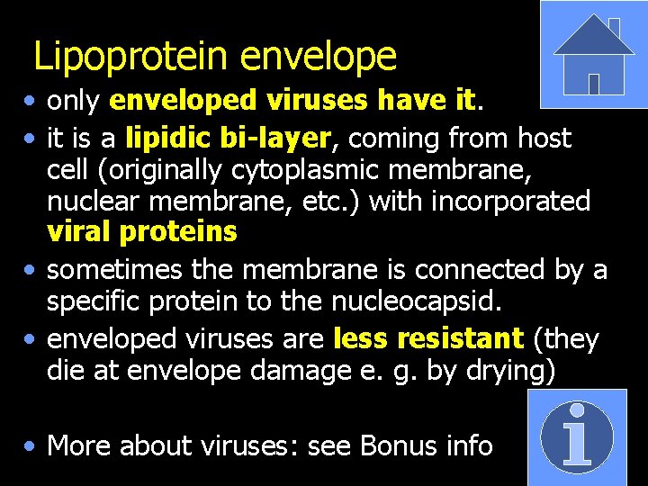 Lipoprotein envelope • only enveloped viruses have it. • it is a lipidic bi-layer,