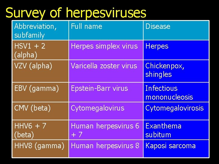 Survey of herpesviruses Abbreviation, subfamily HSV 1 + 2 (alpha) Full name Disease Herpes