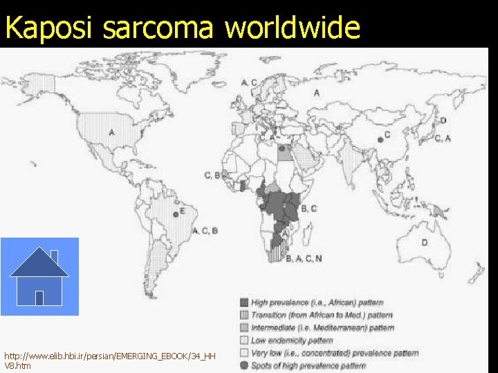 Kaposi sarcoma worldwide http: //www. elib. hbi. ir/persian/EMERGING_EBOOK/34_HH V 8. htm 