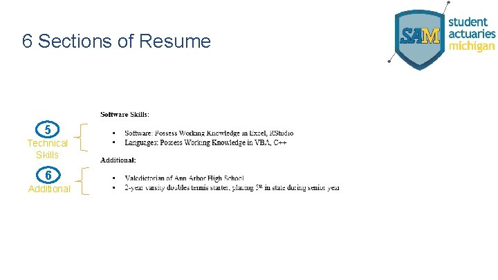 6 Sections of Resume 5 Technical Skills 6 Additional 
