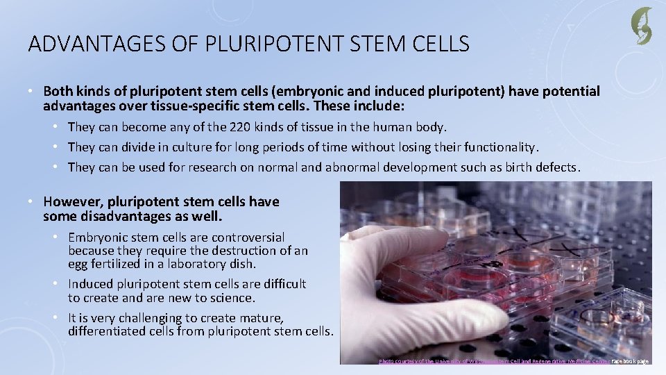 ADVANTAGES OF PLURIPOTENT STEM CELLS • Both kinds of pluripotent stem cells (embryonic and