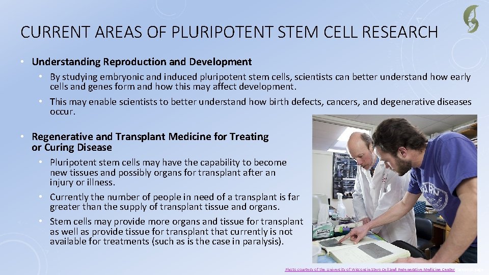 CURRENT AREAS OF PLURIPOTENT STEM CELL RESEARCH • Understanding Reproduction and Development • By