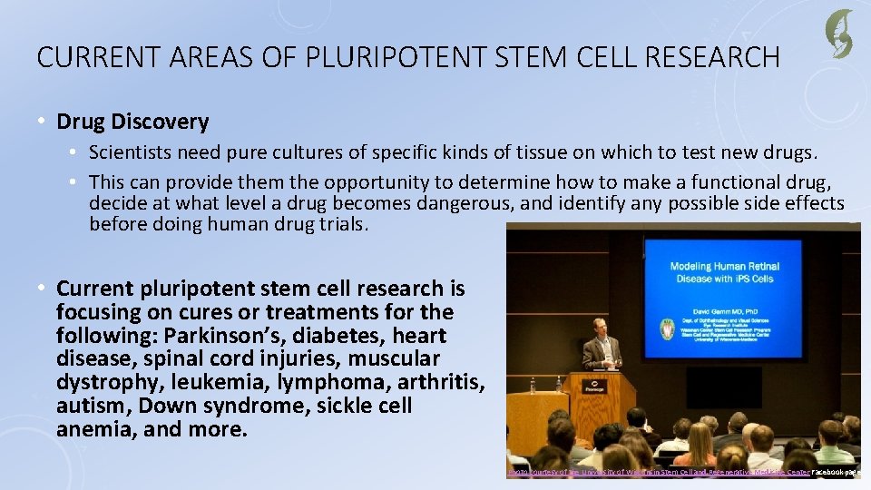 CURRENT AREAS OF PLURIPOTENT STEM CELL RESEARCH • Drug Discovery • Scientists need pure