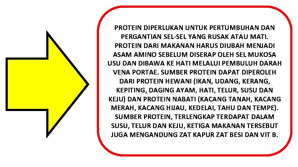 PROTEIN DIPERLUKAN UNTUK PERTUMBUHAN DAN PERGANTIAN SEL-SEL YANG RUSAK ATAU MATI. PROTEIN DARI MAKANAN