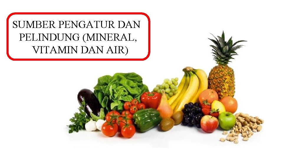 SUMBER PENGATUR DAN PELINDUNG (MINERAL, VITAMIN DAN AIR) 