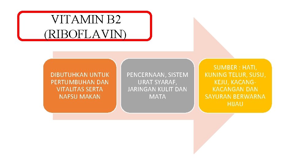 VITAMIN B 2 (RIBOFLAVIN) DIBUTUHKAN UNTUK PERTUMBUHAN DAN VITALITAS SERTA NAFSU MAKAN PENCERNAAN, SISTEM