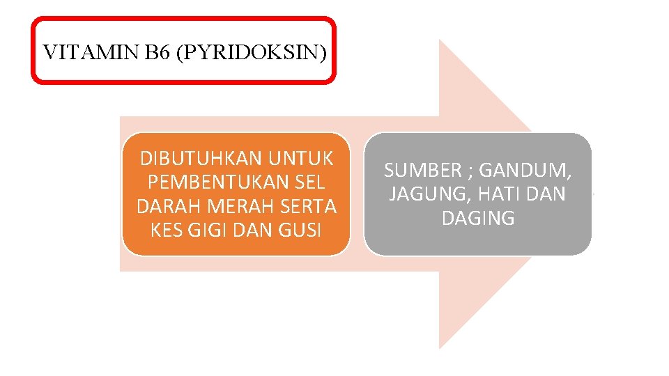 VITAMIN B 6 (PYRIDOKSIN) DIBUTUHKAN UNTUK PEMBENTUKAN SEL DARAH MERAH SERTA KES GIGI DAN