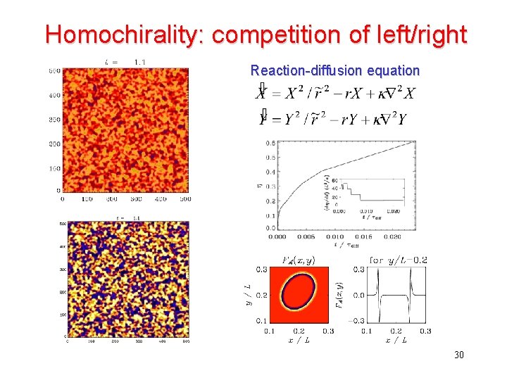 Homochirality: competition of left/right Reaction-diffusion equation 30 