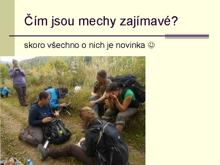 Čím jsou mechy zajímavé? skoro všechno o nich je novinka 