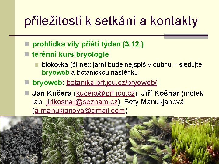 příležitosti k setkání a kontakty n prohlídka vily příští týden (3. 12. ) n