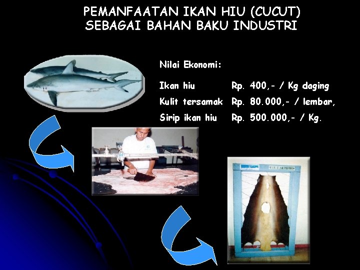 PEMANFAATAN IKAN HIU (CUCUT) SEBAGAI BAHAN BAKU INDUSTRI Nilai Ekonomi: Ikan hiu Rp. 400,