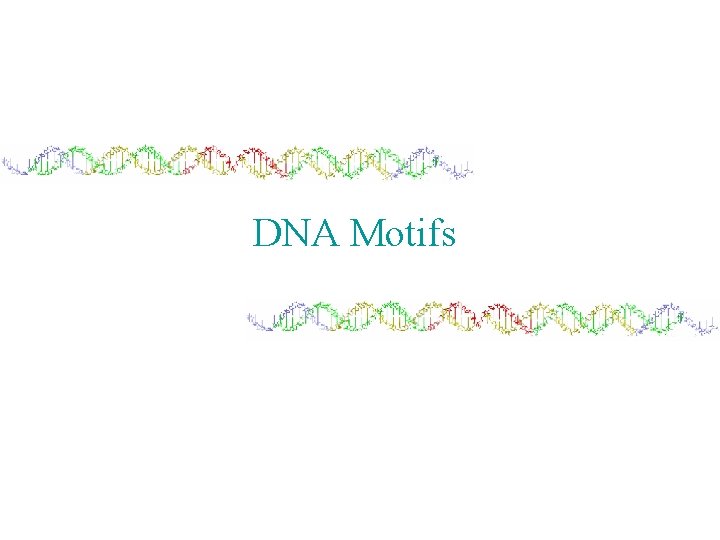 DNA Motifs 