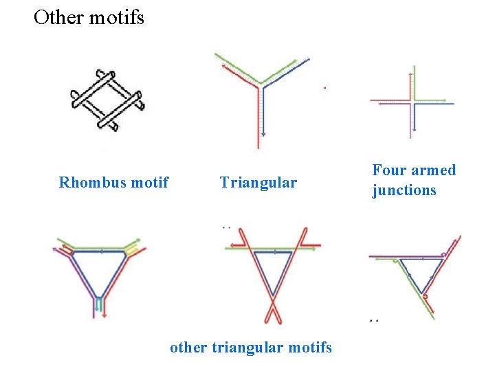 Other motifs Rhombus motif Triangular other triangular motifs Four armed junctions 