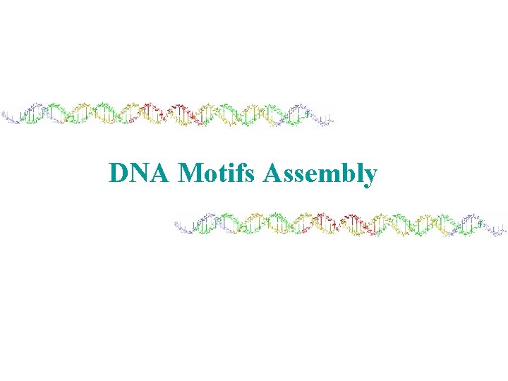 DNA Motifs Assembly 