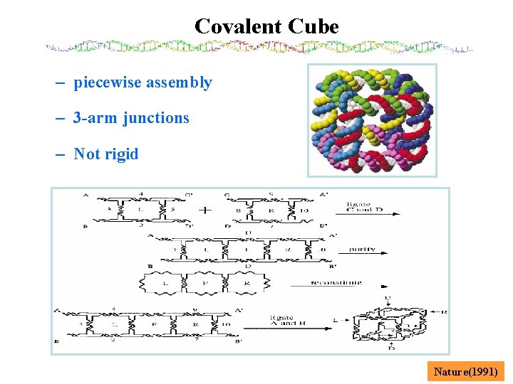 Covalent Cube – piecewise assembly – 3 -arm junctions – Not rigid Nature(1991) 