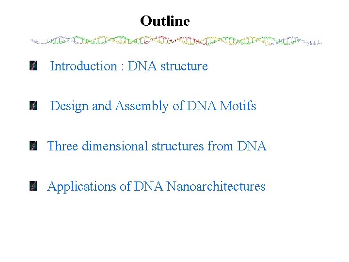 Outline Introduction : DNA structure Design and Assembly of DNA Motifs Three dimensional structures