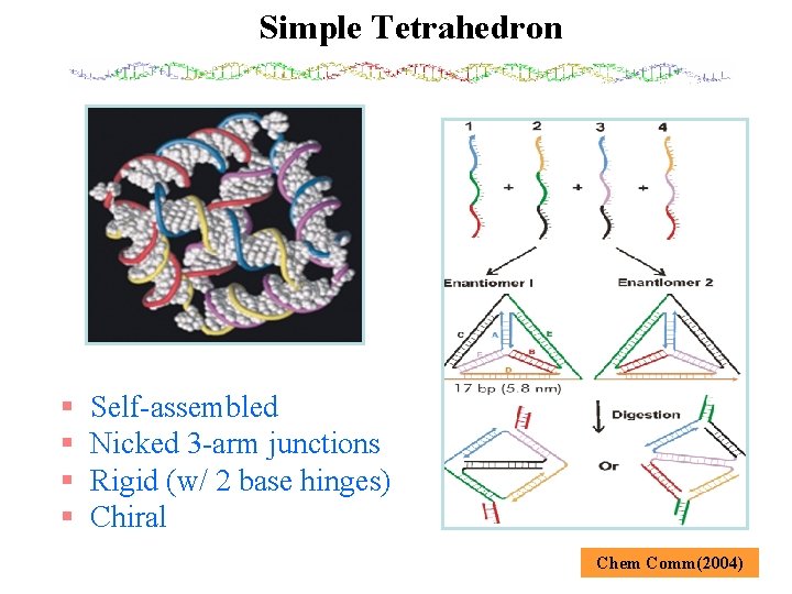 Simple Tetrahedron § § Self-assembled Nicked 3 -arm junctions Rigid (w/ 2 base hinges)