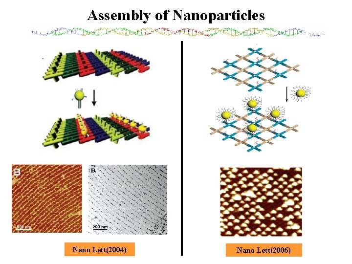 Assembly of Nanoparticles Nano Lett(2004) Nano Lett(2006) 