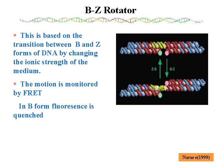 B-Z Rotator § This is based on the transition between B and Z forms