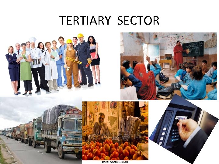 TERTIARY SECTOR 