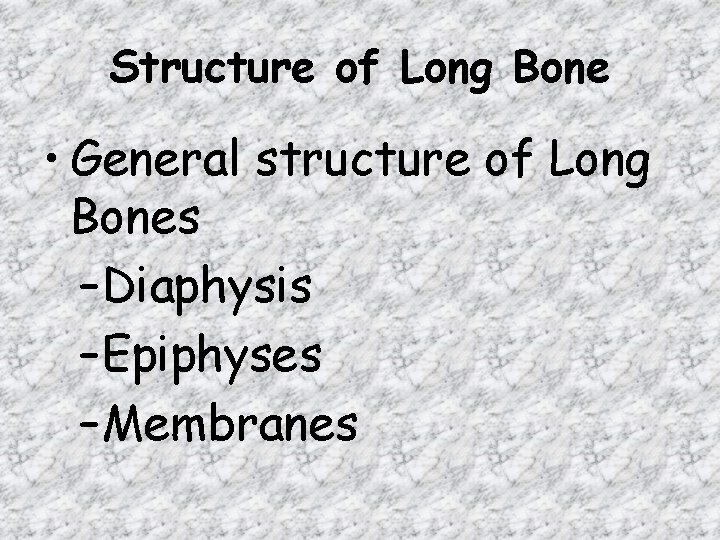 Structure of Long Bone • General structure of Long Bones –Diaphysis –Epiphyses –Membranes 