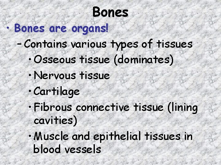 Bones • Bones are organs! – Contains various types of tissues • Osseous tissue