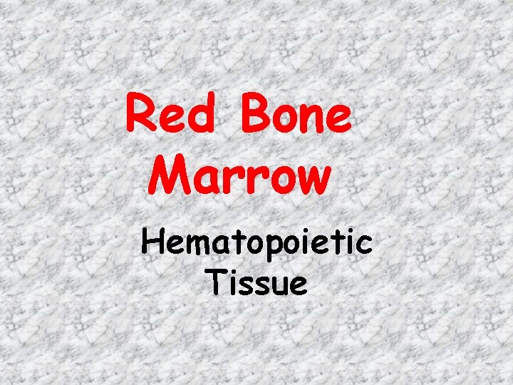 Red Bone Marrow Hematopoietic Tissue 