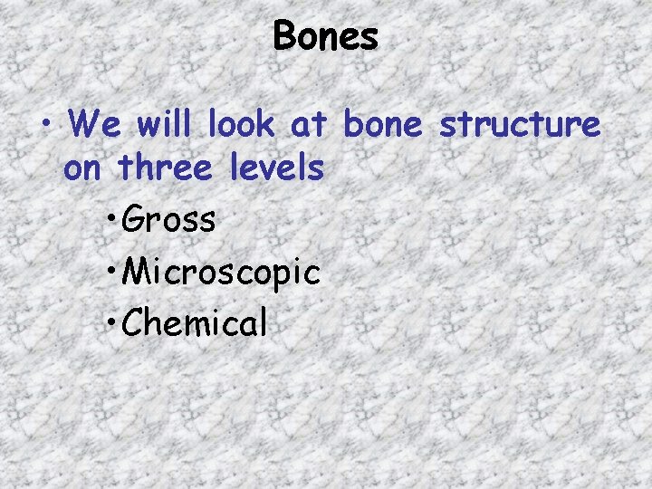 Bones • We will look at bone structure on three levels • Gross •