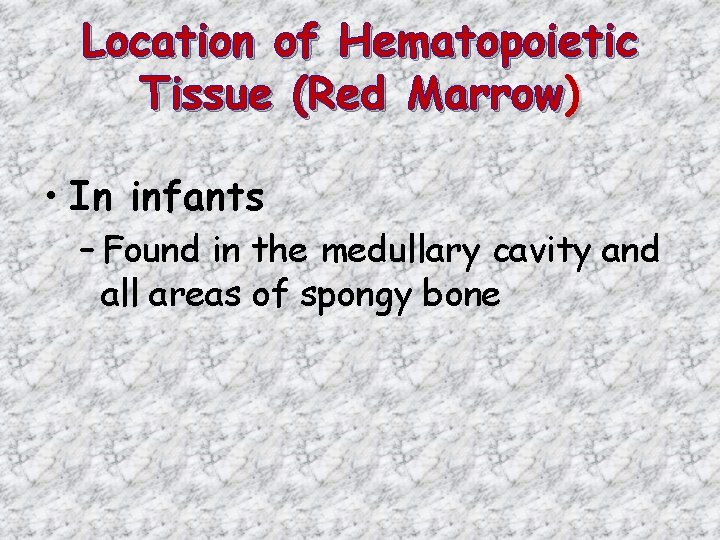 Location of Hematopoietic Tissue (Red Marrow) • In infants – Found in the medullary